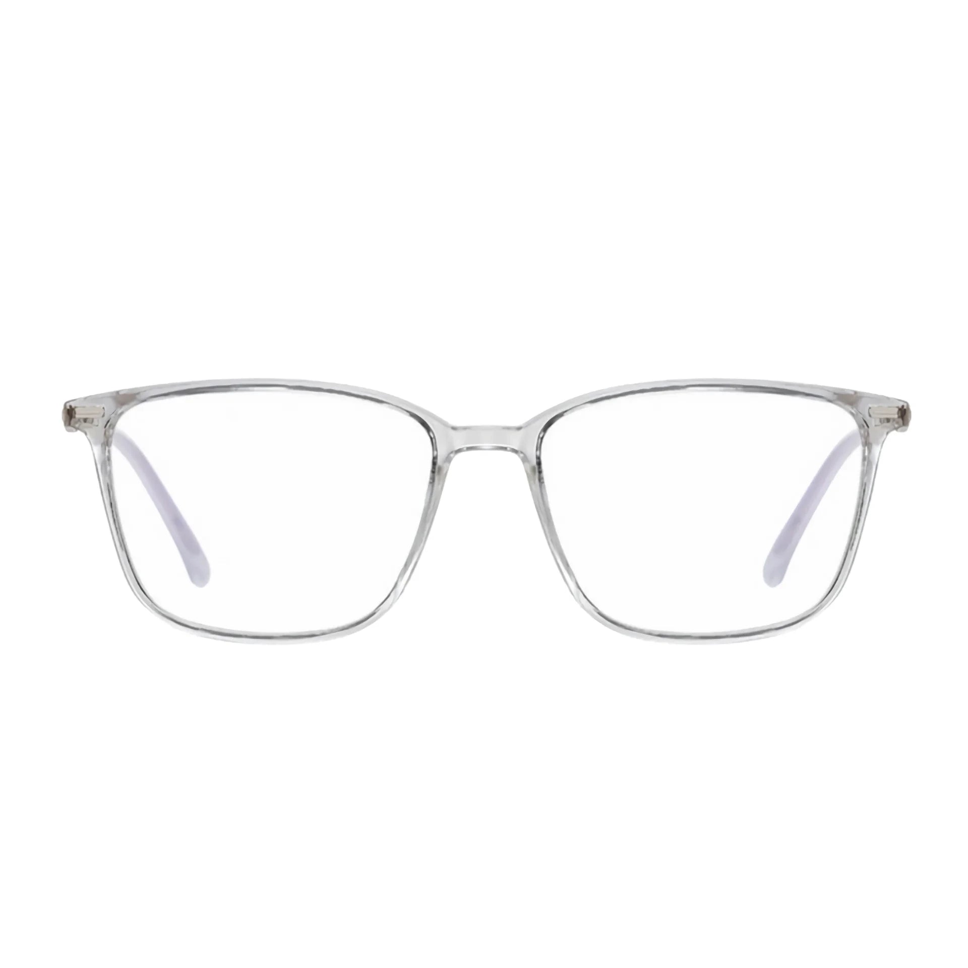 Zapallar. transparente, vista frontal