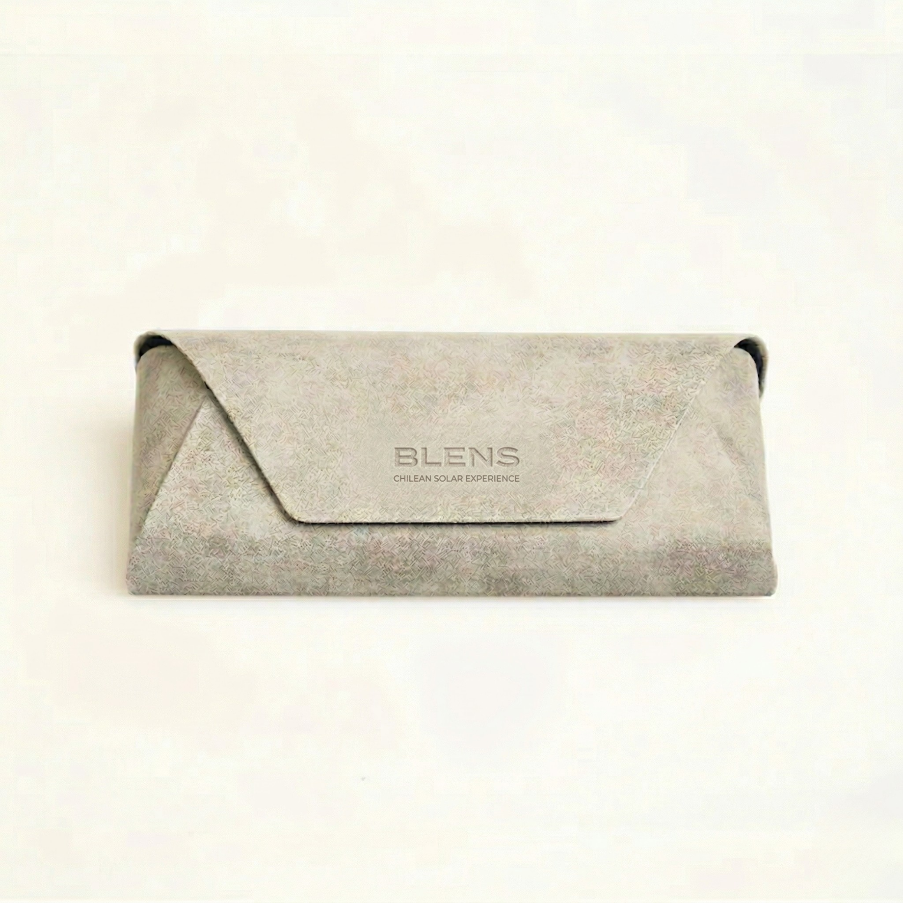 Case Carry Gris