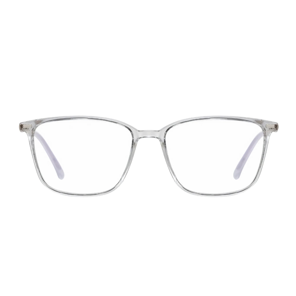 Zapallar. transparente, vista frontal